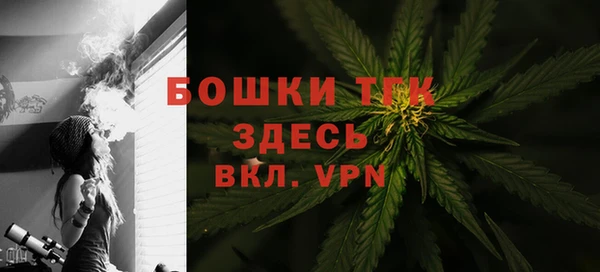 сатива Арсеньев
