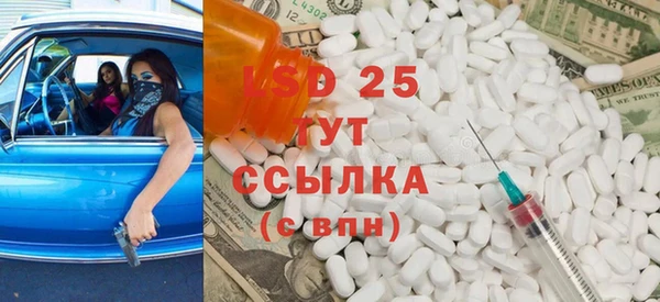 сатива Арсеньев
