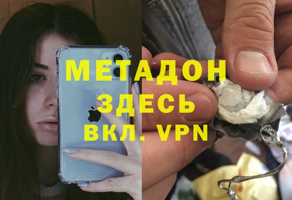 сатива Арсеньев