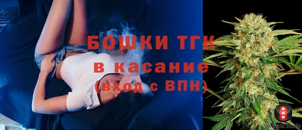 сатива Арсеньев